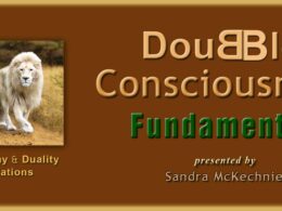 Doubble Consciousness Fundamentals (Webinar)