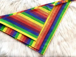 Rainbow Stripes Dog Bandana