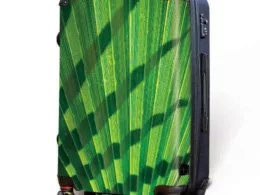 Palm Fan Luggage