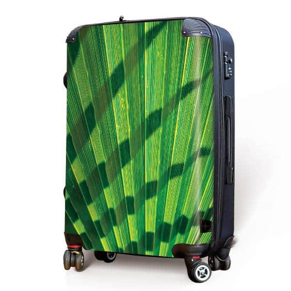 Palm Fan Luggage