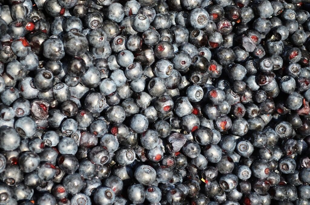 Blueberries G7aa35bbc8 1280 1024x678