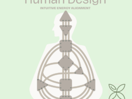 Image For LSM Human Design Chart 260x195